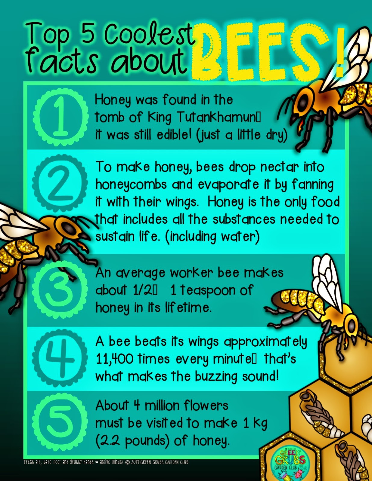 Top 5 coolest facts about… Honey Bees… Buuuzzzzzz!