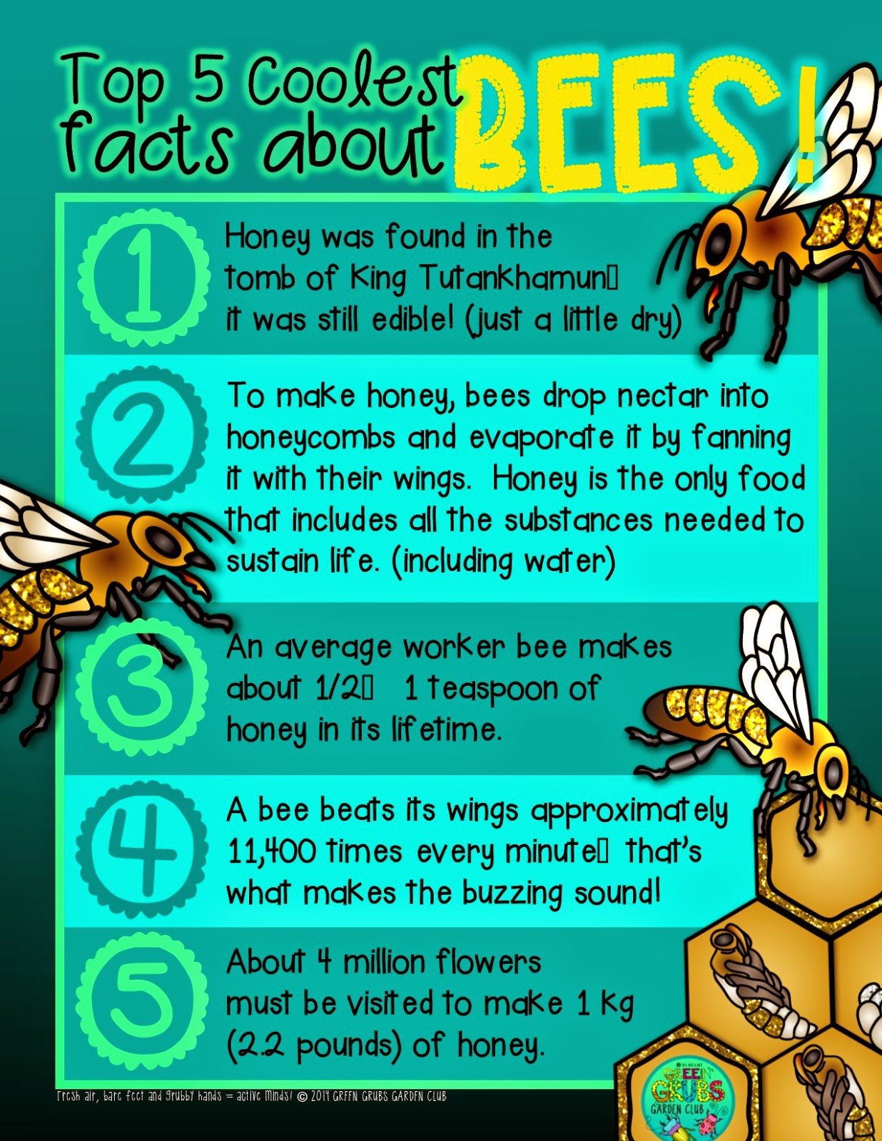 Top 5 Coolest Facts About Honey Bees Buuuzzzzzz 