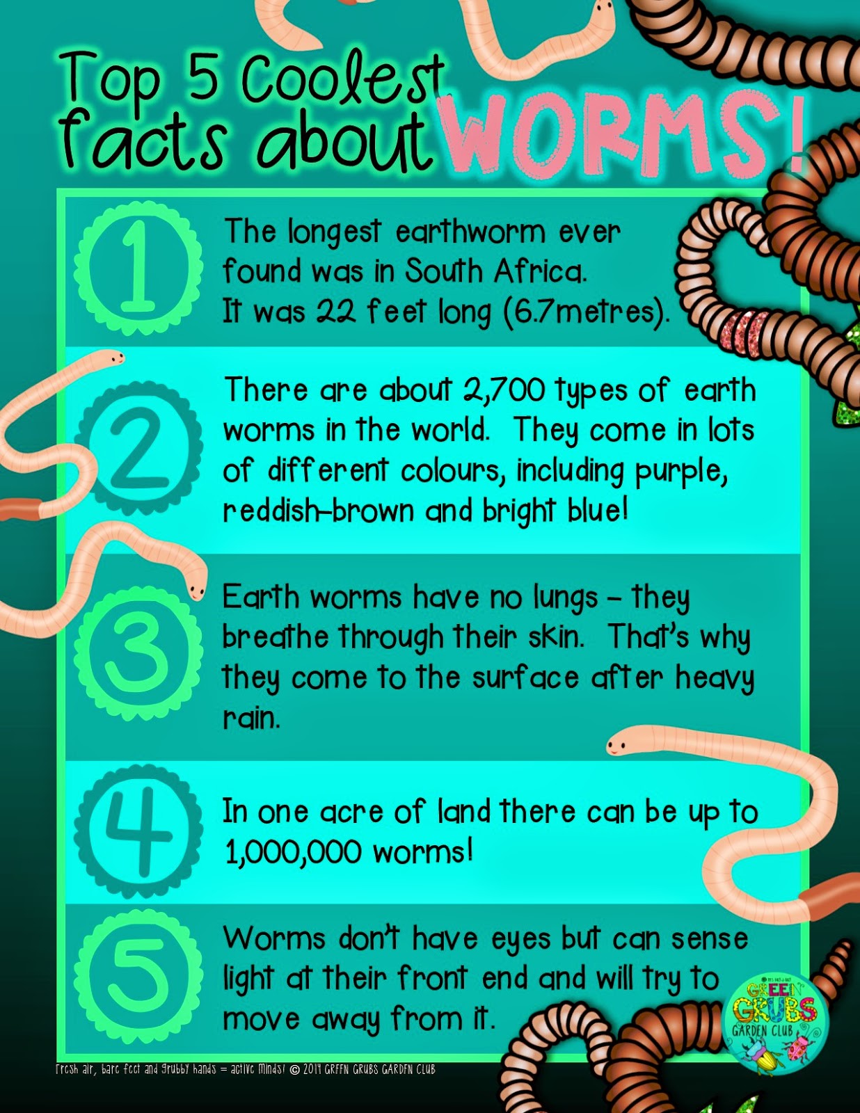 Top 5 coolest facts about… WORMS!