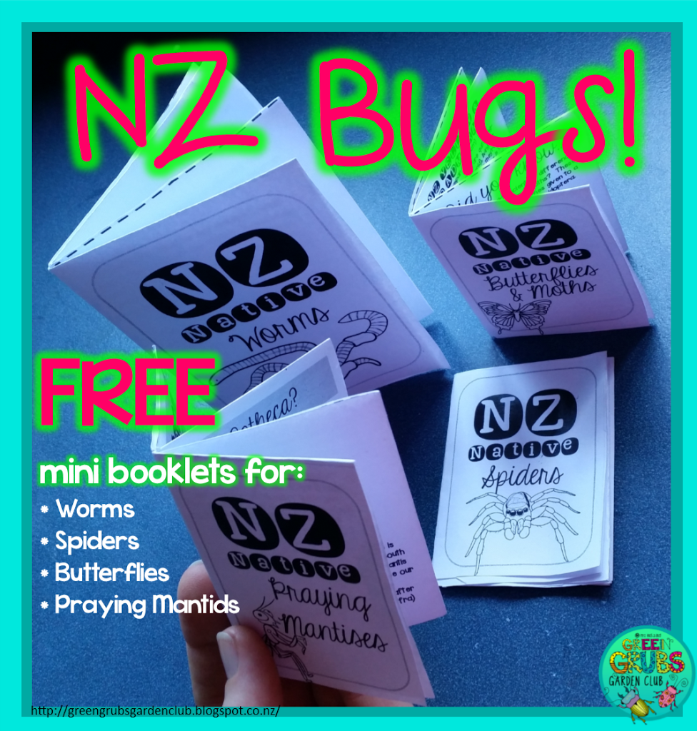 NZ BUGS! (FREE printables for Spiders, Worms, Praying Mantids & Butterflies)