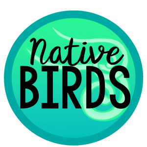 NZ Native Birds