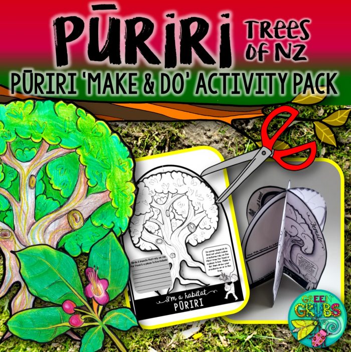 Puriri {New Zealand Trees Make & Do Activity Pack}
