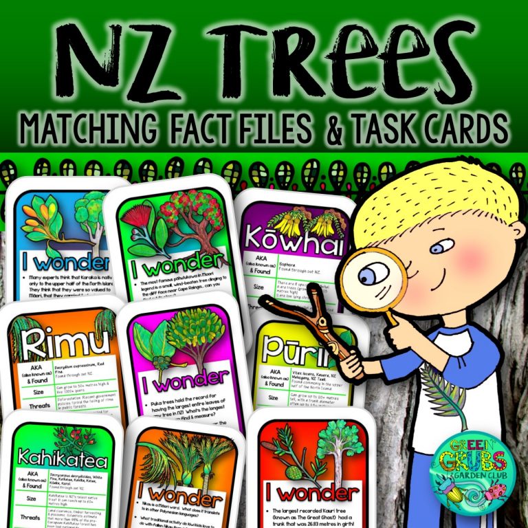 New Zealand Native Trees {Fact Files & Task Cards}