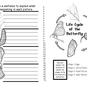 Butterflies and Moths {A booklet of activities celebrating Lepidoptera!}