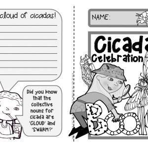 Cicada Celebration! An activity booklet about the cicada life cycle