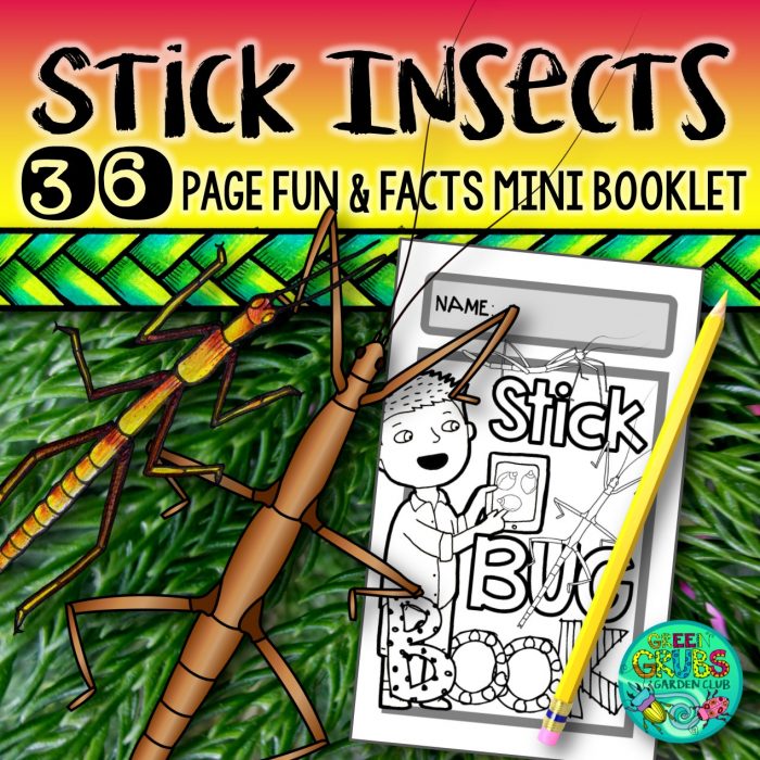 Stick Insects Fun & facts about Walking-Sticks, Stick-Bugs & Phasmids