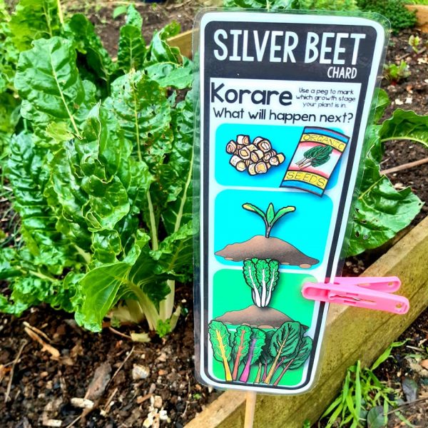 vegetable garden labels track the growth of your plants