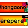 Maths Trolley Labels {Maori & English Manipulatives labels} - Image 3