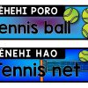 PE Shed & Sports Equipment Labels {Bilingual Maori-English} - Image 4