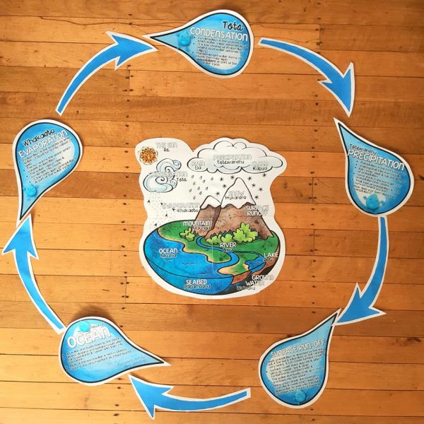 Water Cycle Wall Display {New Zealand)