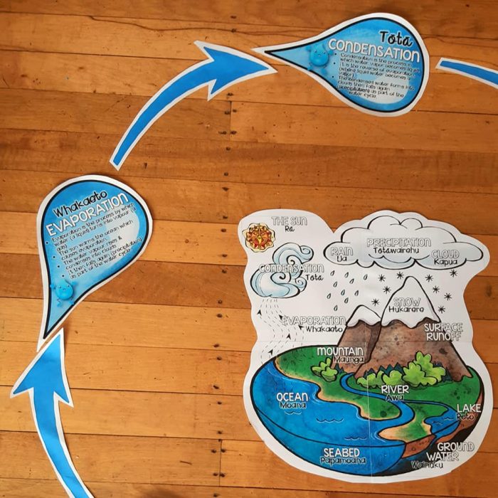 Water Cycle Wall Display {New Zealand)