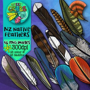 NZ Bird Feathers Clip Art