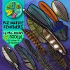 NZ Bird Feathers Clip Art - Image 2