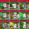 NZ Tree Mega Bundle - Image 2