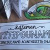 Titipounamu Rifleman {Make & Do Activity Pack} - Image 3