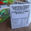 Titipounamu Rifleman {Make & Do Activity Pack} - Image 7