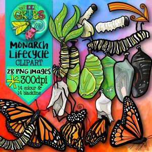 Monarch Lifecycle Clip Art